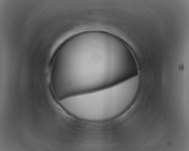 X0000093531510200710121138