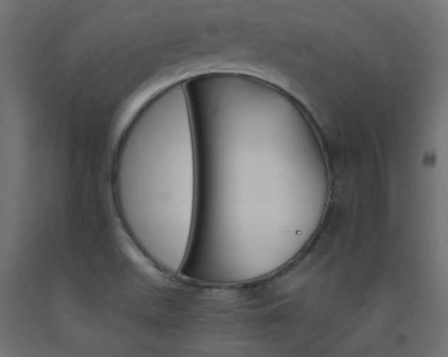 X0000093531511200710121138