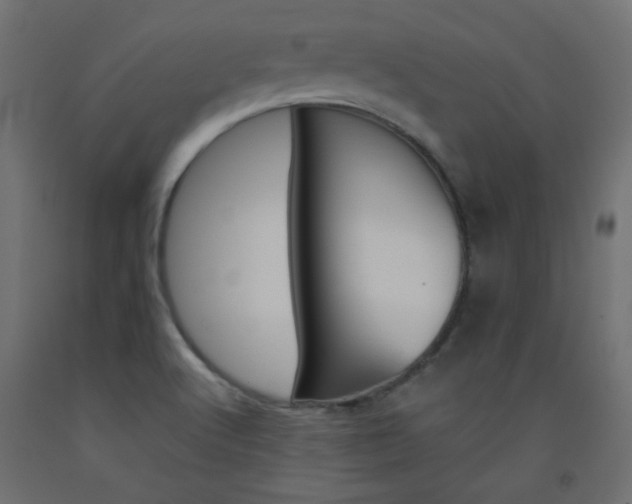 X0000093531512200710121138