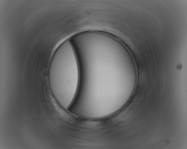 X0000093531513200710121138