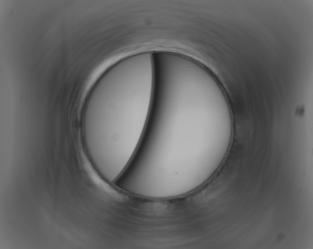 X0000093531515200710121138
