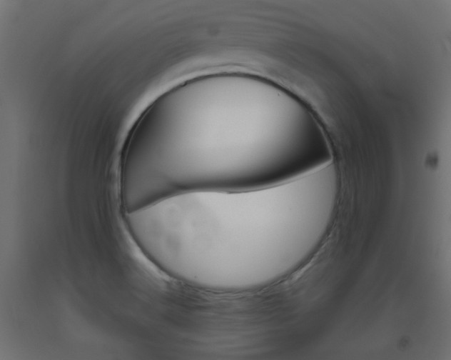 X0000093531516200710121138