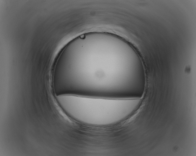 X0000093531517200710121138