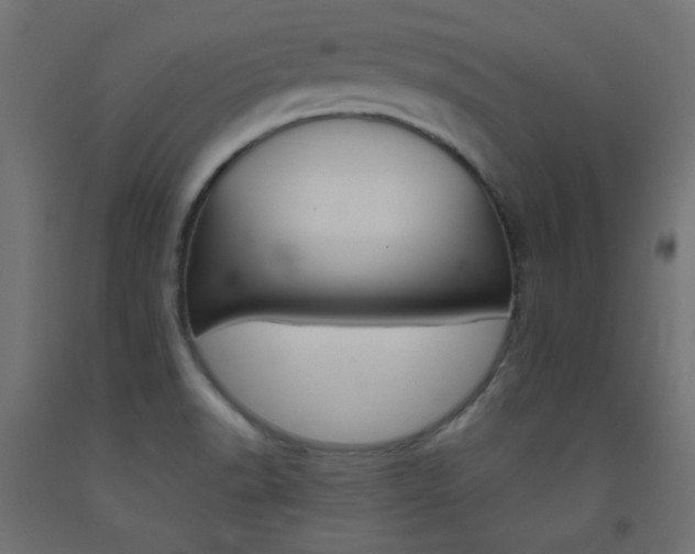 X0000093531518200710121138