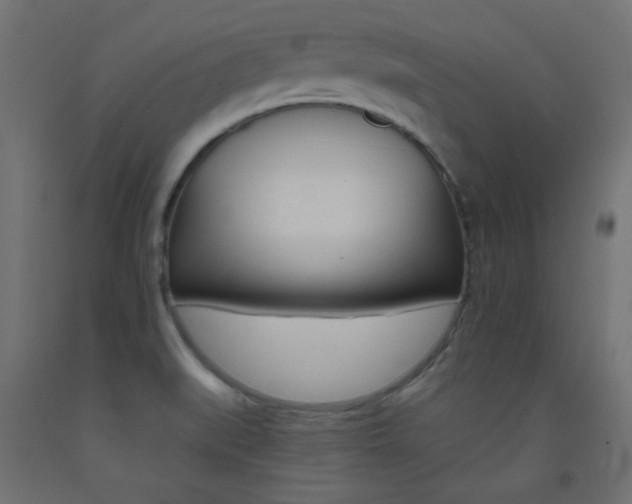 X0000093531519200710121138