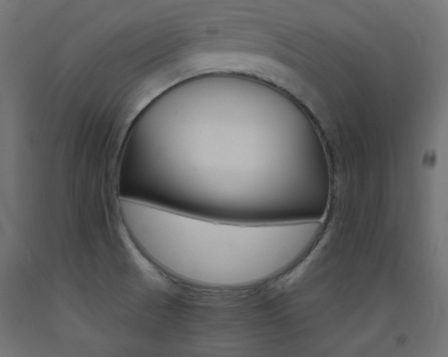 X0000093531521200710121138