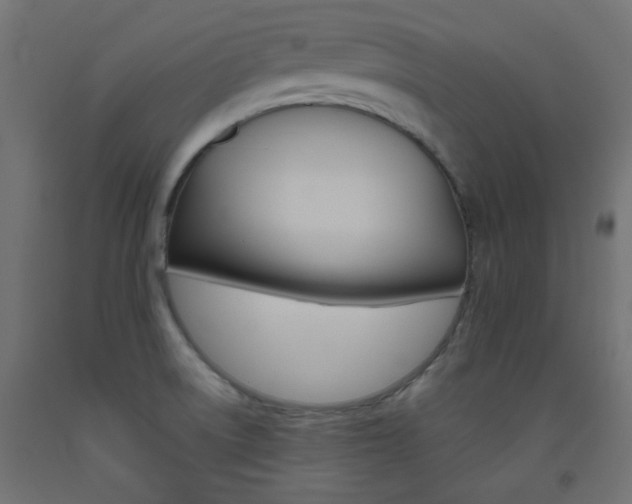 X0000093531522200710121138