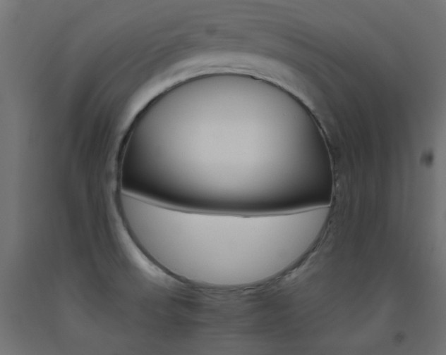 X0000093531523200710121138
