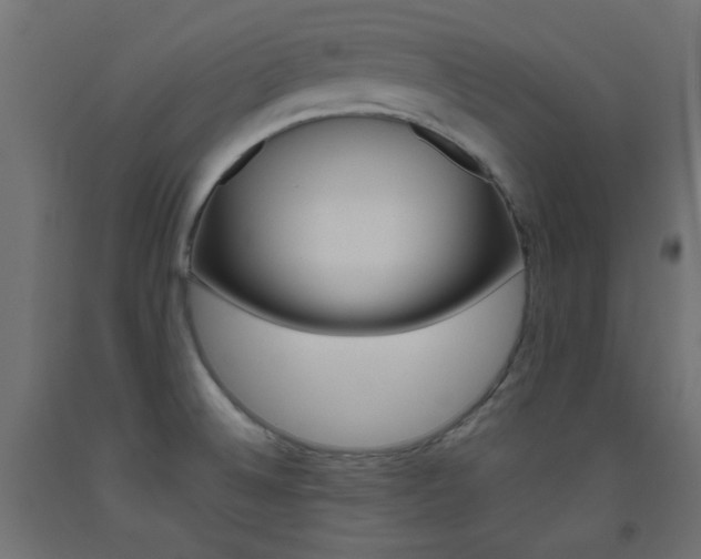 X0000093531524200710121138
