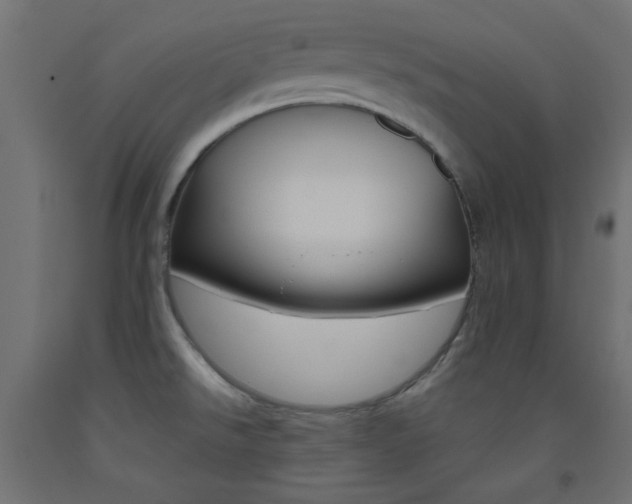 X0000093531526200710121138