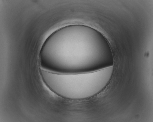 X0000093531527200710121138