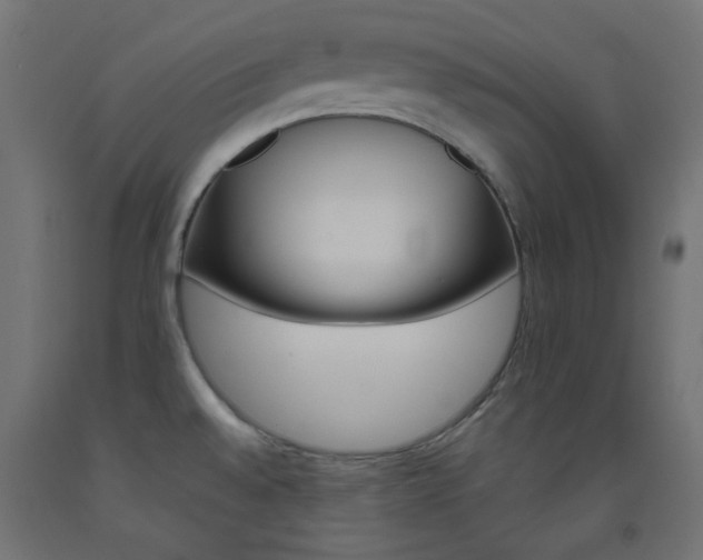 X0000093531528200710121138