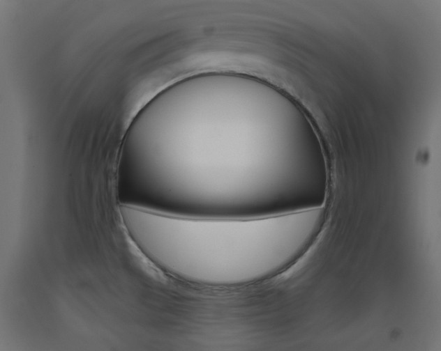 X0000093531529200710121138