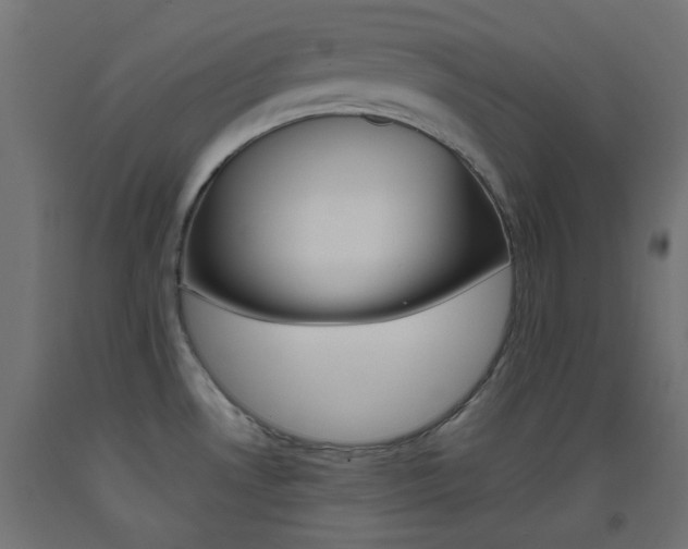 X0000093531530200710121138