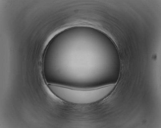 X0000093531531200710121138
