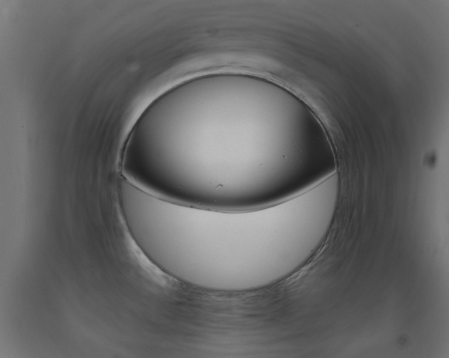 X0000093531532200710121138