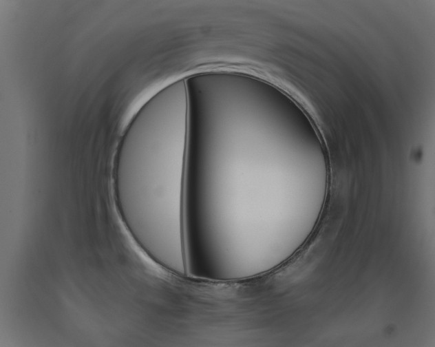 X0000093531533200710121138