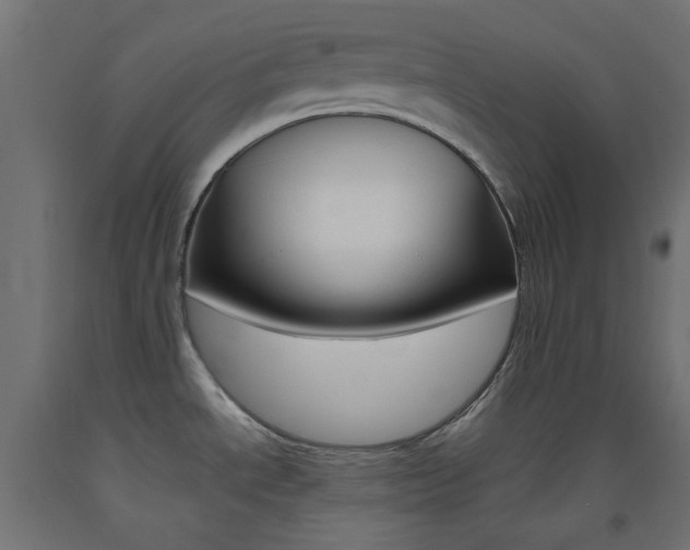 X0000093531534200710121138