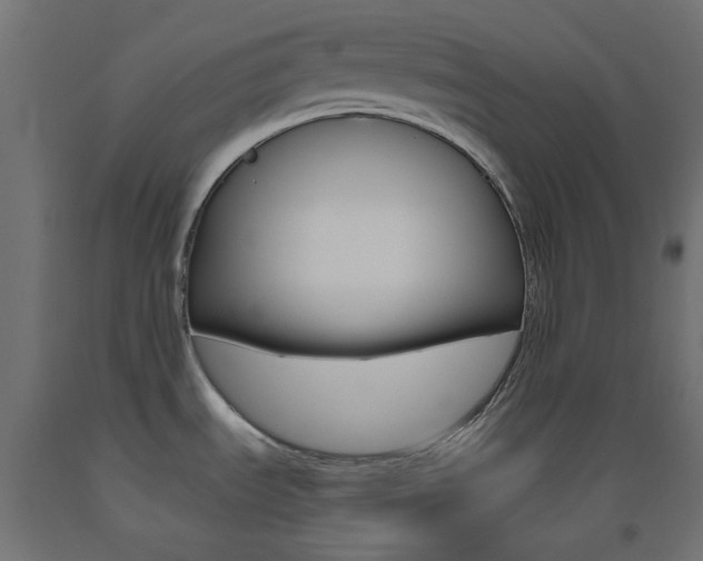 X0000093531535200710121138