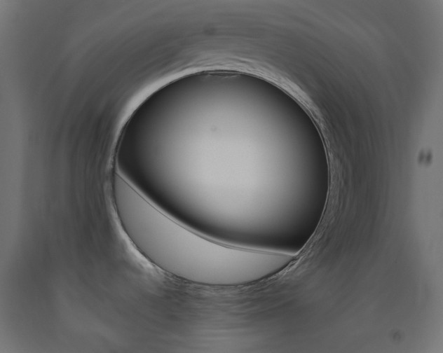 X0000093531536200710121138