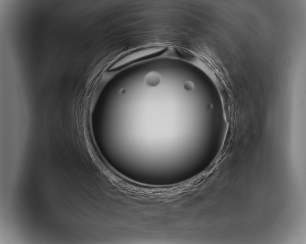 X0000093530001200710121608