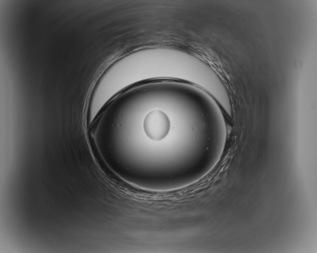 X0000093530003200710121608