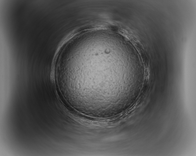 X0000093530004200710121608
