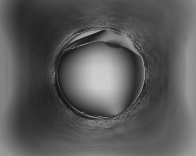X0000093530005200710121608