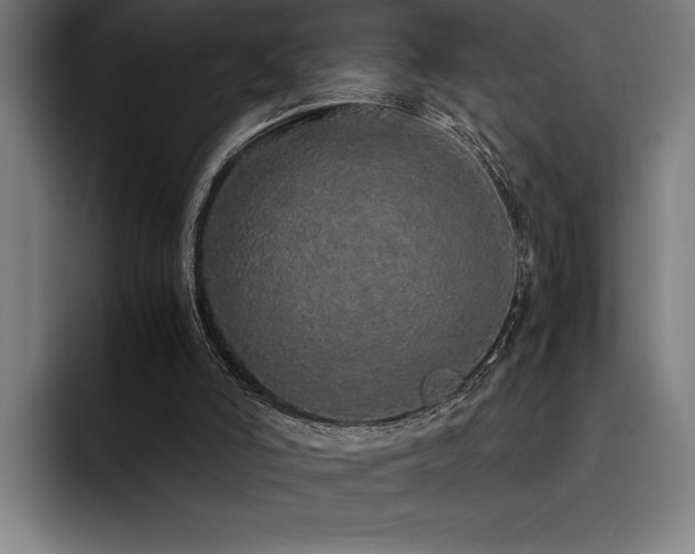 X0000093530006200710121608