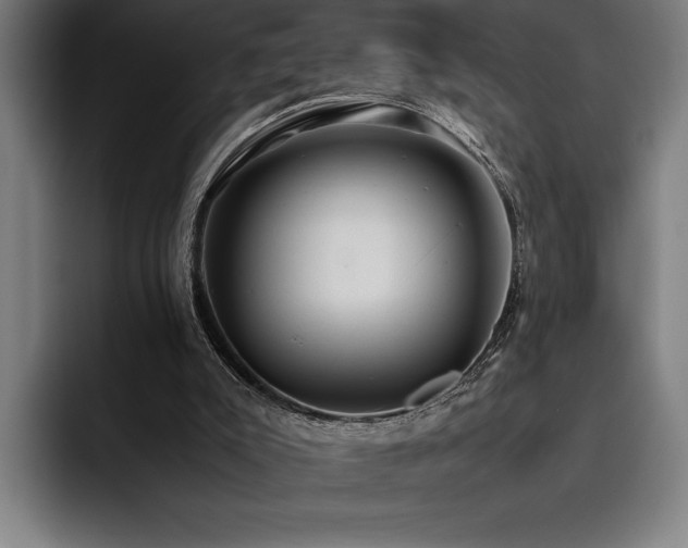 X0000093530007200710121608