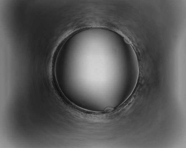 X0000093530008200710121608