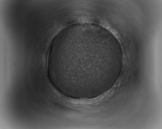 X0000093530009200710121608