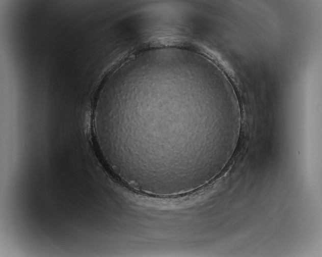 X0000093530010200710121608