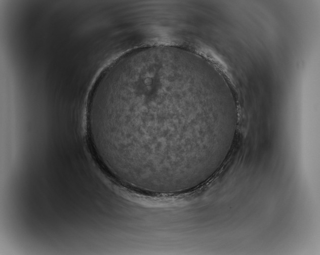 X0000093530012200710121607