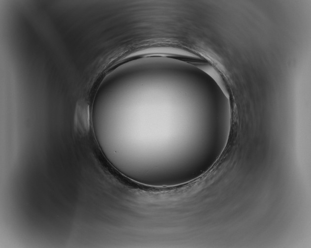 X0000093530013200710121607