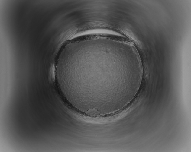 X0000093530014200710121607