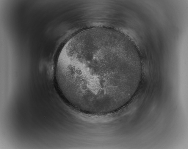 X0000093530016200710121607