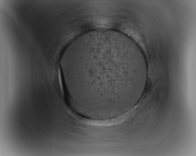 X0000093530017200710121607