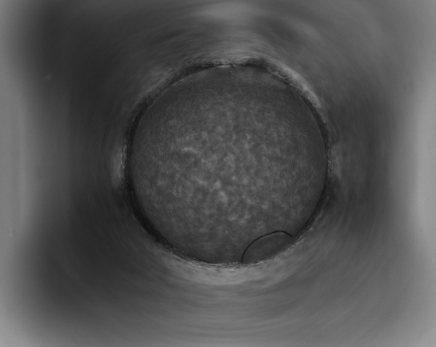 X0000093530018200710121607