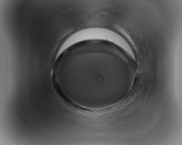 X0000093530019200710121607
