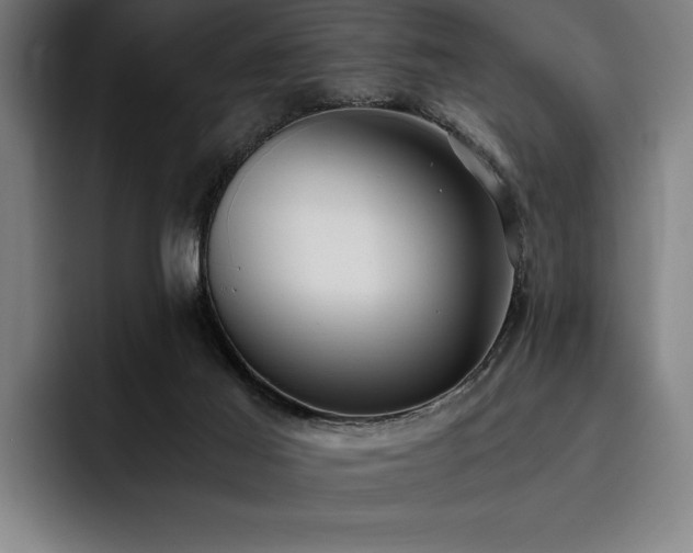 X0000093530021200710121607
