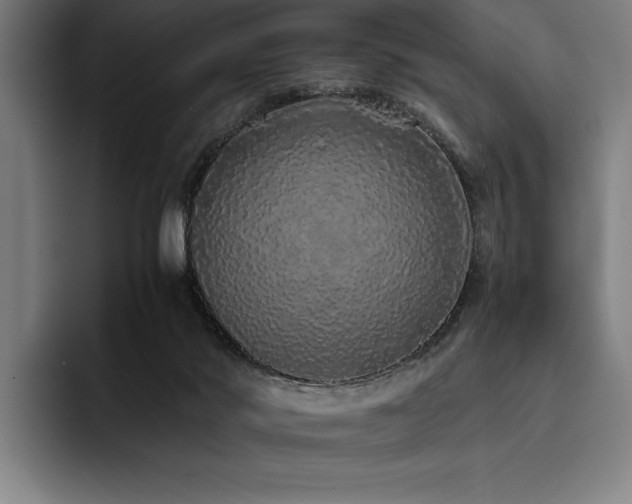 X0000093530022200710121607