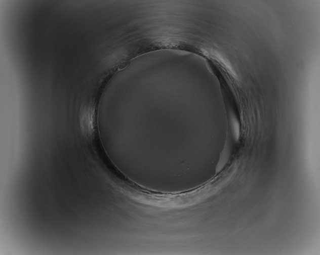 X0000093530023200710121607