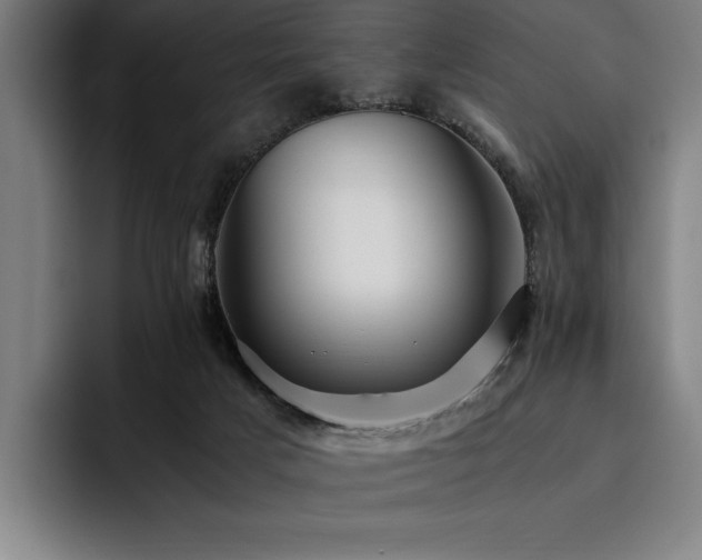 X0000093530025200710121607