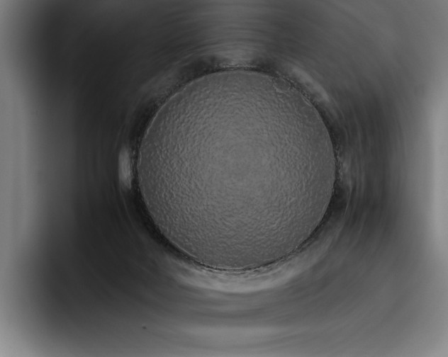 X0000093530026200710121607
