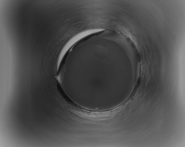 X0000093530027200710121607