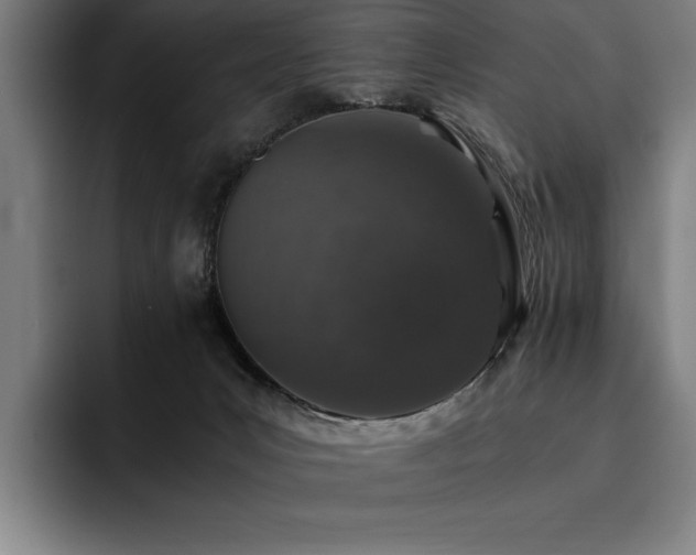 X0000093530031200710121607