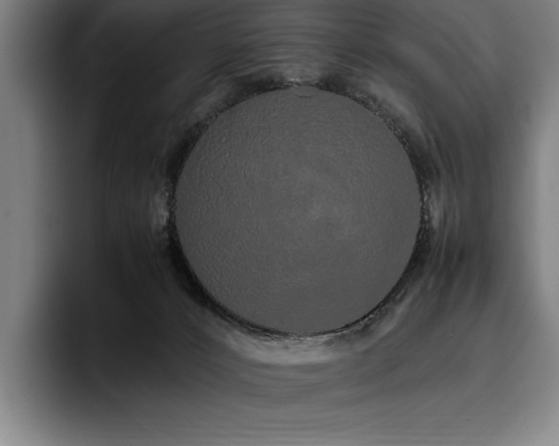 X0000093530032200710121607