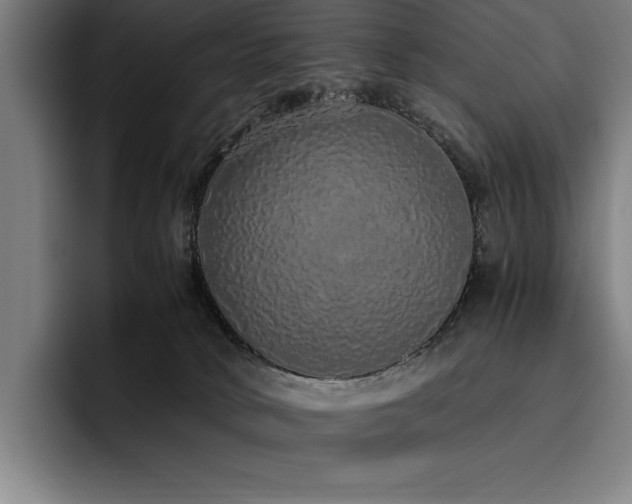 X0000093530034200710121607
