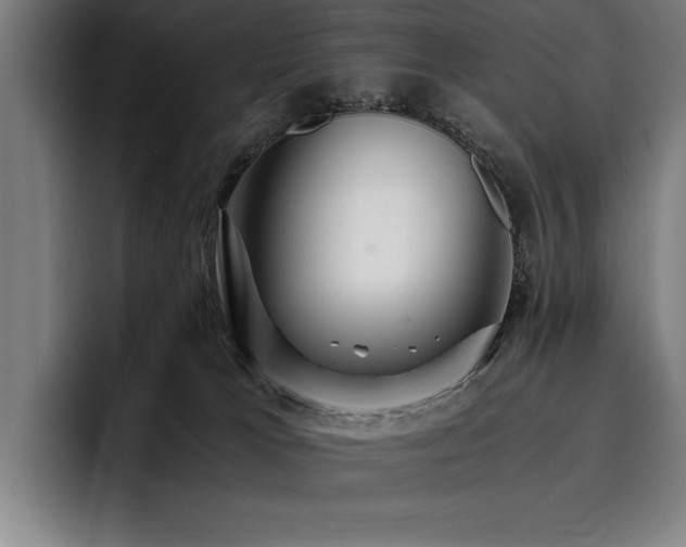 X0000093530037200710121607
